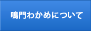 鳴門わかめについて